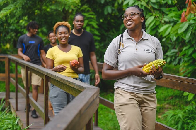 Project Chocolat Tree to Bar Tour at Hotel Chocolat Saint Lucia - Should you book Project Chocolat?