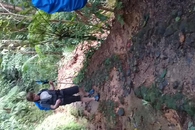 Rain forest and Bird watching - Transport, group size, and the morning schedule