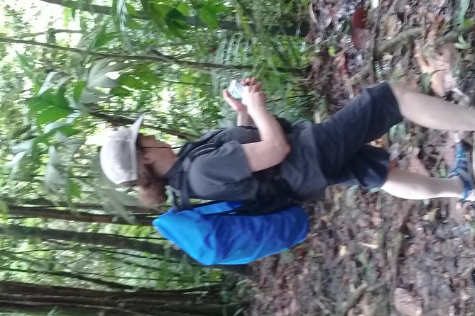 Rain forest and Bird watching - How the $65 price works for different visitors