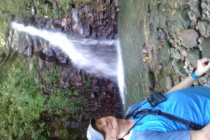 Rain forest and Bird watching - Who should book this rainforest outing?