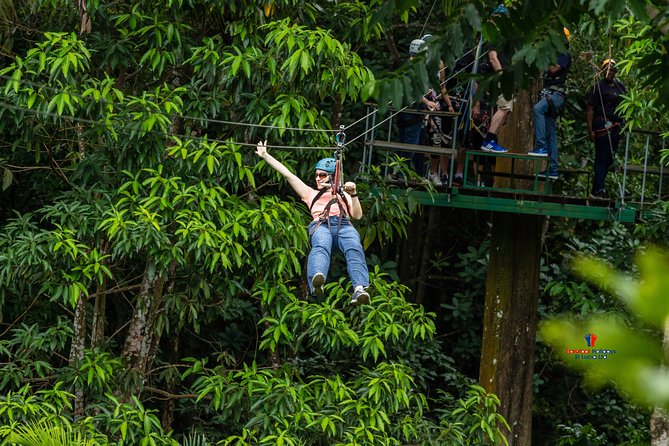 Rainforest Canopy Adventure from Vieux Fort or North Island, St Lucia - How much value you get for $105