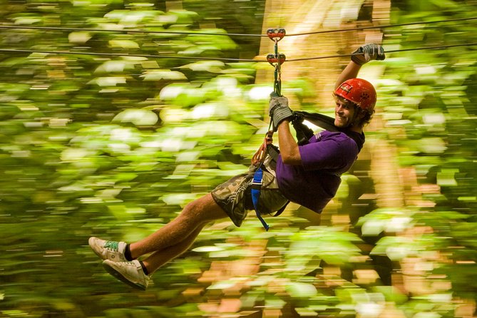Rainforest Canopy Adventure from Vieux Fort or North Island, St Lucia - Practical planning for rain and timing