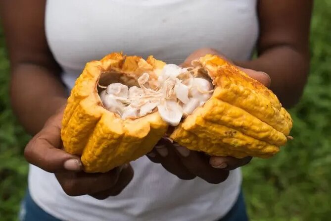 Rainforest Cycling Adventure in St. Lucia - Sault Falls is the reward at the end
