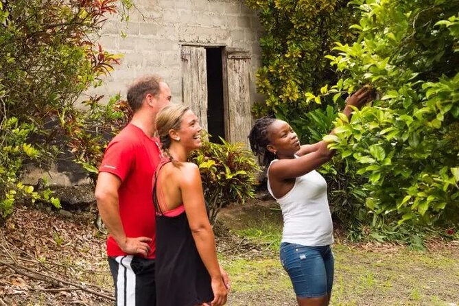 Rainforest Cycling Adventure in St. Lucia - What the $66.67 price really covers