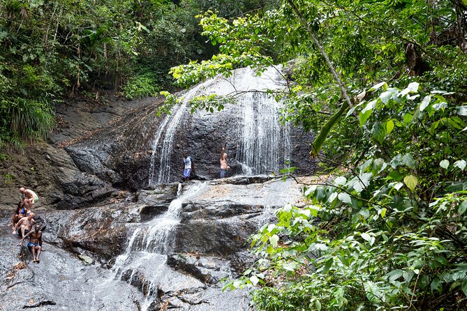 Rainforest Hike and Waterfall Safari - Key points to know before booking
