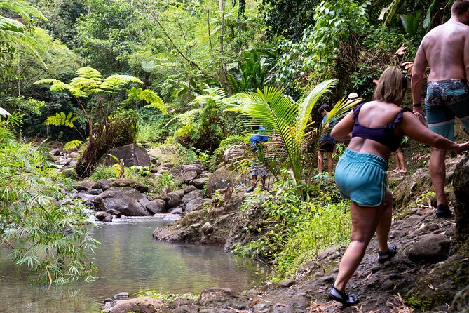 Rainforest Hike and Waterfall Safari - From Gros Islet into Saint Lucia’s green interior