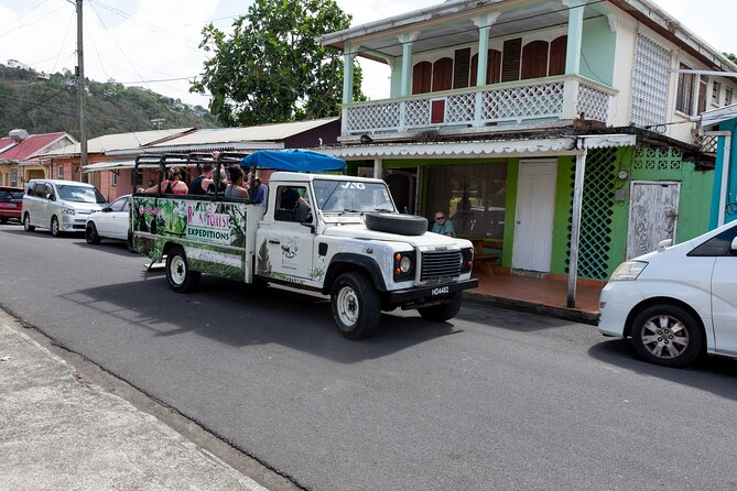 Rainforest Hike and Waterfall Safari - Venus Estate Waterfall and the natural pools