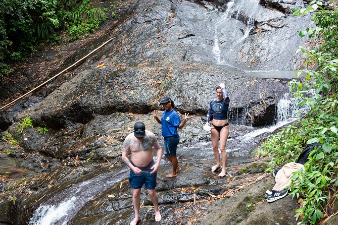 Rainforest Hike and Waterfall Safari - What the guides add to the morning