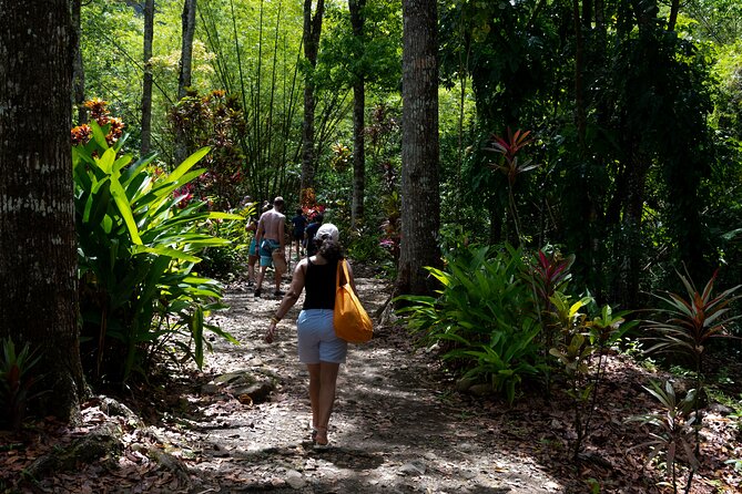 Rainforest Hike and Waterfall Safari - Practical packing advice for the 7:20 am start