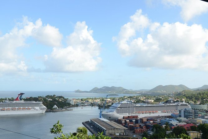 Rainforest Hike & Waterfall Safari St. Lucia From Castries - Fruit tasting and a taste of local life