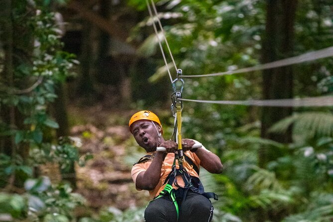 Rainforest Rush: St. Lucia Zip Line Adventure - Quick points before you book