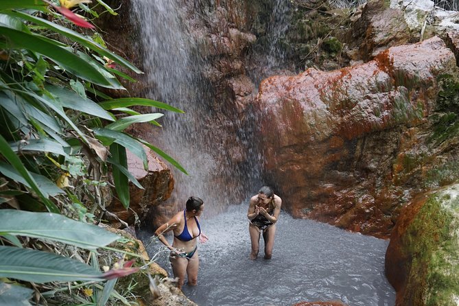 Rainforest Waterfall Adventure - Key points to know before you book