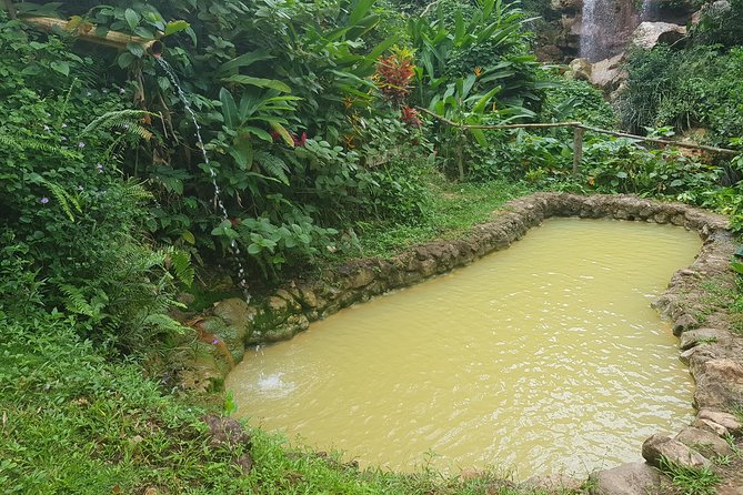 Rainforest Waterfall Adventure - Sapphire Falls and the sulfuric mineral pools