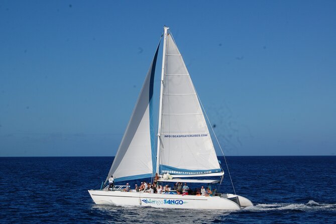 Rodney Bay to Soufriere Catamaran Transfer - A careful look at the fishing and charter details