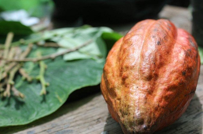 Rum & Chocolate Tasting Tour : Journey into Flavor - Rumi’s guiding adds more than a tasting