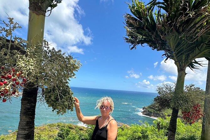 Saint Lucia Beach Tour with Free Entry - Who will enjoy this beach tour most