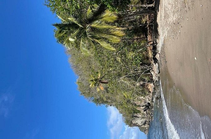 Saint Lucia Private East Coast Tour - Latille Waterfall and Errard Waterfall