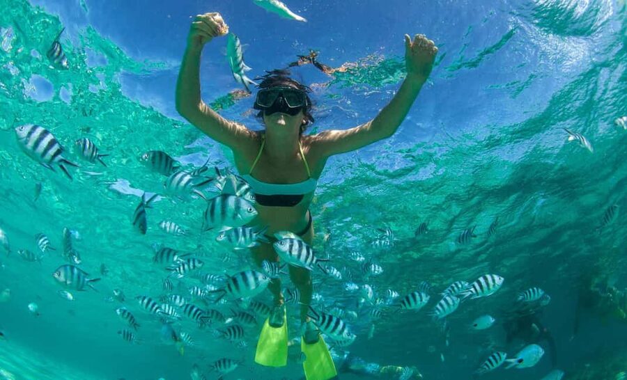 Saint Lucia: Snorkeling Beneath the Pitons in Soufriere - Key points to know before you book