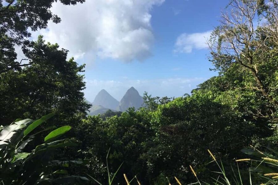 Saint Lucia: Tet Paul Nature Trail Hiking Tour & Beach - Reaching the Tet Paul Nature Trail