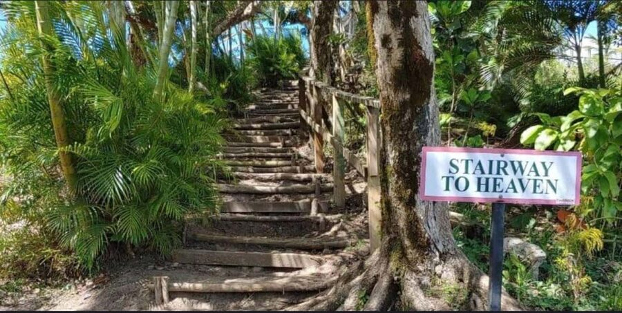 Saint Lucia: Tete Paul Nature Trail Hike & Waterfall Visit - Key points to know before you book