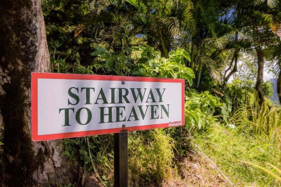 Saint Lucia: Tete Paul Nature Trail Hike & Waterfall Visit - Starting with Castries and Morn-Fortune