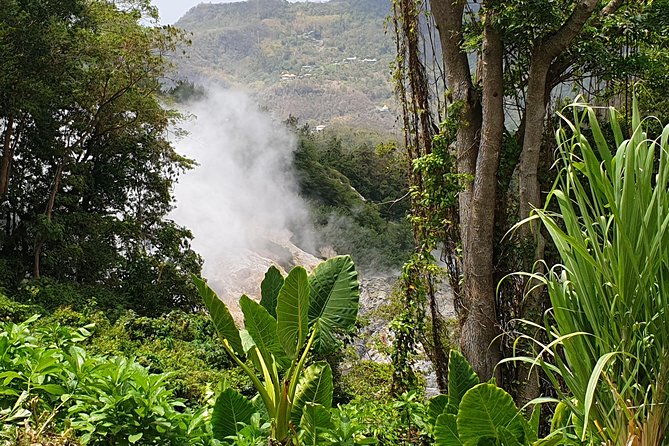Scenic Tour of Soufriere - Toraille Waterfall: Pack a Swimsuit