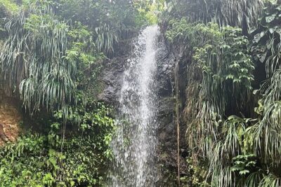 Sea and Land Tour in St. Lucia