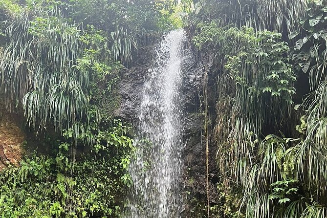 Sea and Land Tour in St. Lucia - Sulphur Springs: mud, heat, and a little mess