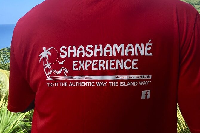 Shashamane experience private boat charter Marigot bay st lucia - Leaving Marigot Bay and Castries