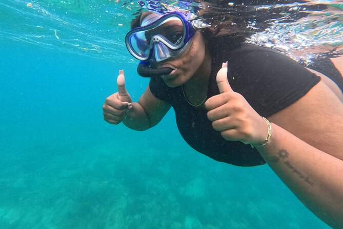Snorkeling at Pigeon Island - What you may see below the surface