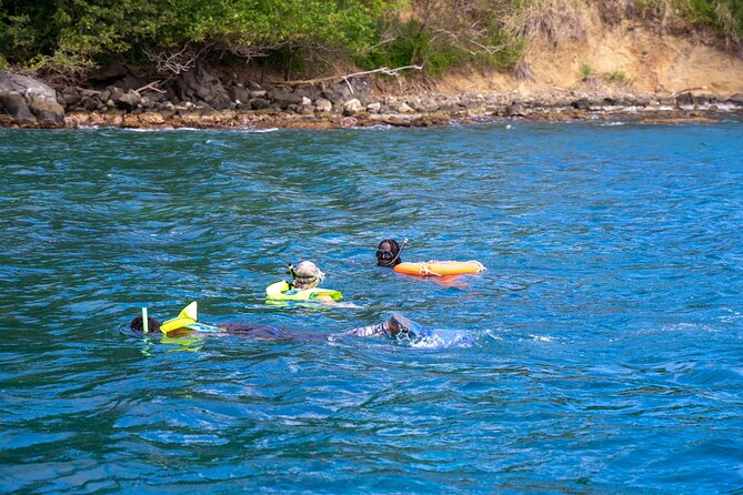 Snorkeling at Pigeon Island - Guides who shape the experience