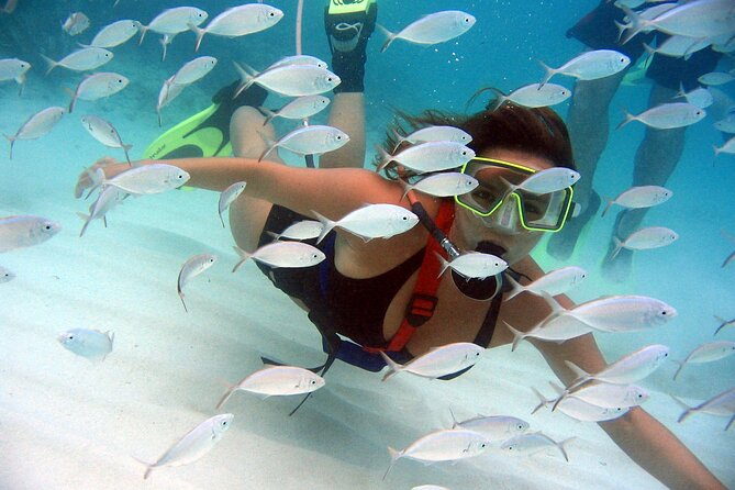 SNUBA Saint Lucia - Key points to know before you book