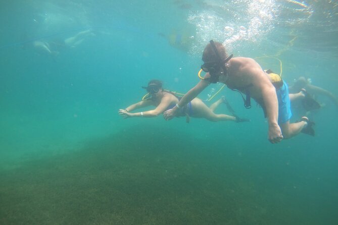SNUBA Saint Lucia - The underwater route: fish, coral, shells, and changing visibility