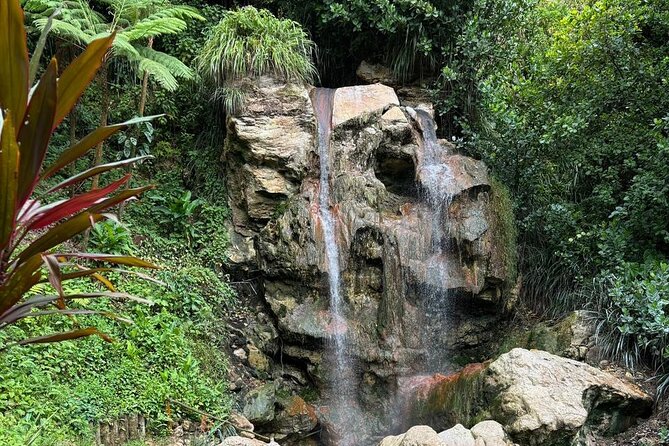 Soufriere Catamaran Excursion & Sapphire Falls Hike - Key points to know before booking