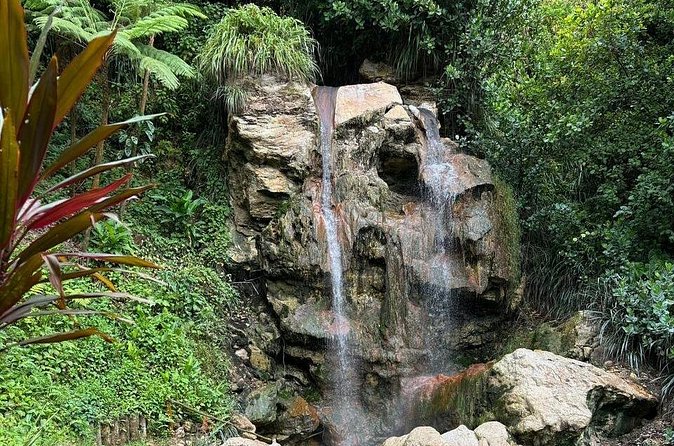 Soufriere Catamaran Excursion & Sapphire Falls Hike - Hiking to Sapphire Falls