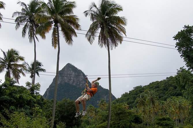 Soufriere Catamaran Excursion with Zip Lining from Castries - Why this trip works as a full-day St. Lucia sampler