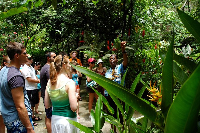 Soufriere Island Delight - The long road from Choc to Soufriere