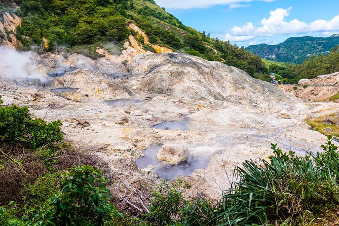 Soufriere Island Delight - Is $80 a fair price?