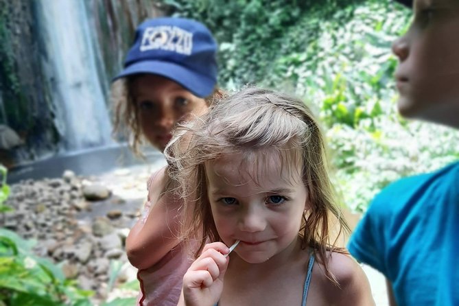 Soufriere Special Day Tour - Toraille Waterfall: Bring a Camera and Swimwear