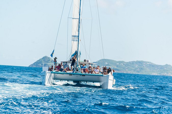 Soufriere to Rodney Bay Catamaran Transfer - Who will enjoy this most