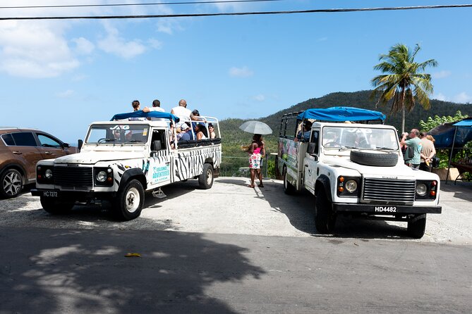 Soufriere Volcano Experience - A 15-minute walk to River Pool Waterfall