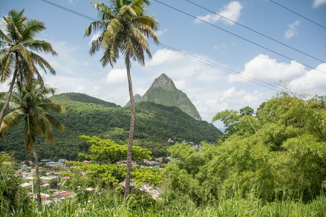 Soufriere Volcano Experience - Returning by road, or possibly by sea