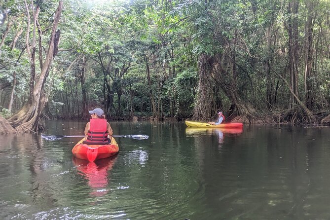 Splash Adventure Jeep and Kayak Safari - The seaside road and Marigot Bay Pirates Route