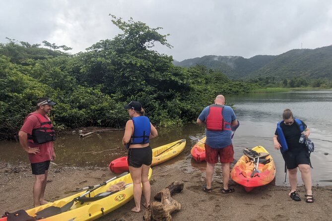 Splash Adventure Jeep and Kayak Safari - What the mangroves add to the day