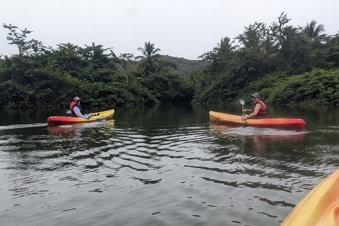 Splash Adventure Jeep and Kayak Safari - The Roseau plantation visit and 400 years of farming