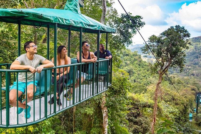 St. Lucia 3 in 1 Combo: Aerial Tram, Rainforest Trail & Zipline - Why This Three-Part Tour Works