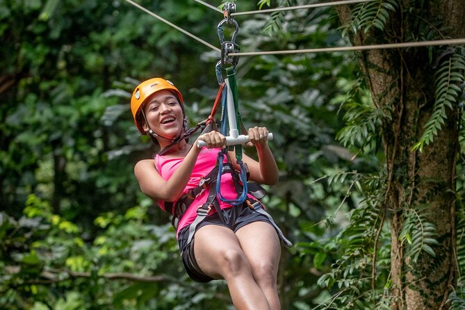 St. Lucia 3 in 1 Combo: Aerial Tram, Rainforest Trail & Zipline - The Aerial Tram: A Quiet Start Above the Trees