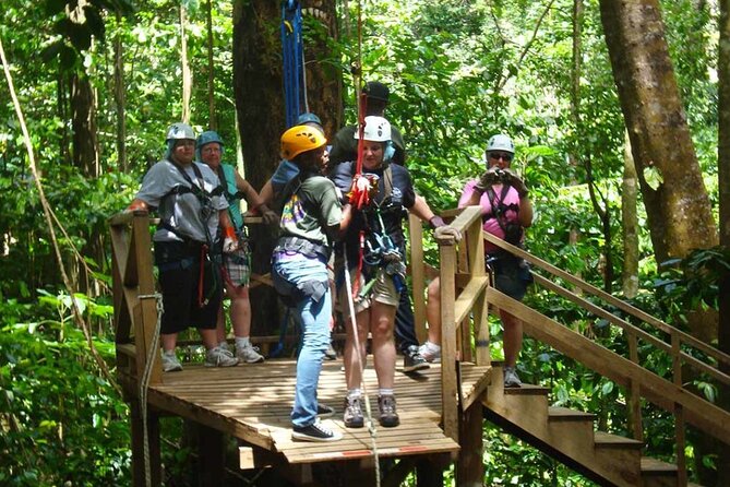 St. Lucia 3 in 1 Combo: Aerial Tram, Rainforest Trail & Zipline - Walking the Rainforest Trail With a Nature Guide