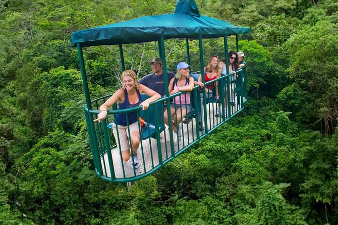 St. Lucia 3 in 1 Combo: Aerial Tram, Rainforest Trail & Zipline - Practical Tips for a Smoother Morning