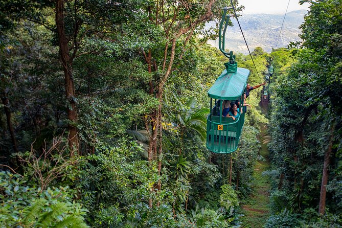St. Lucia Aerial Tram Tour at Rainforest Adventures - Reaching the Rainforest from Castries